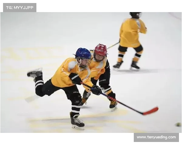 网球赛事主办方职责解析：推动赛事发展与提升品牌价值的关键角色