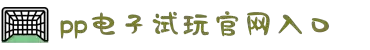 PP电子(中国)有限公司官网